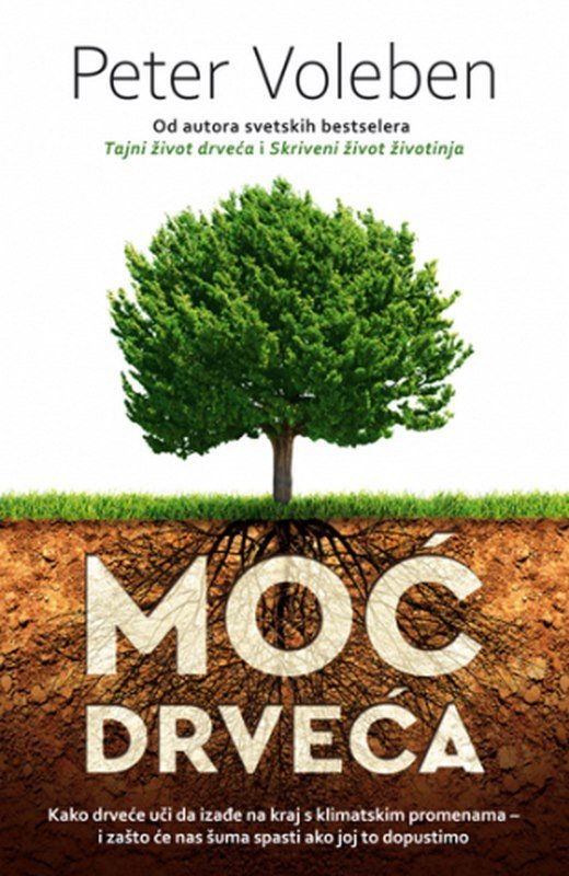 Moc drveca Peter Voleben knjiga 2023 Popularna nauka
