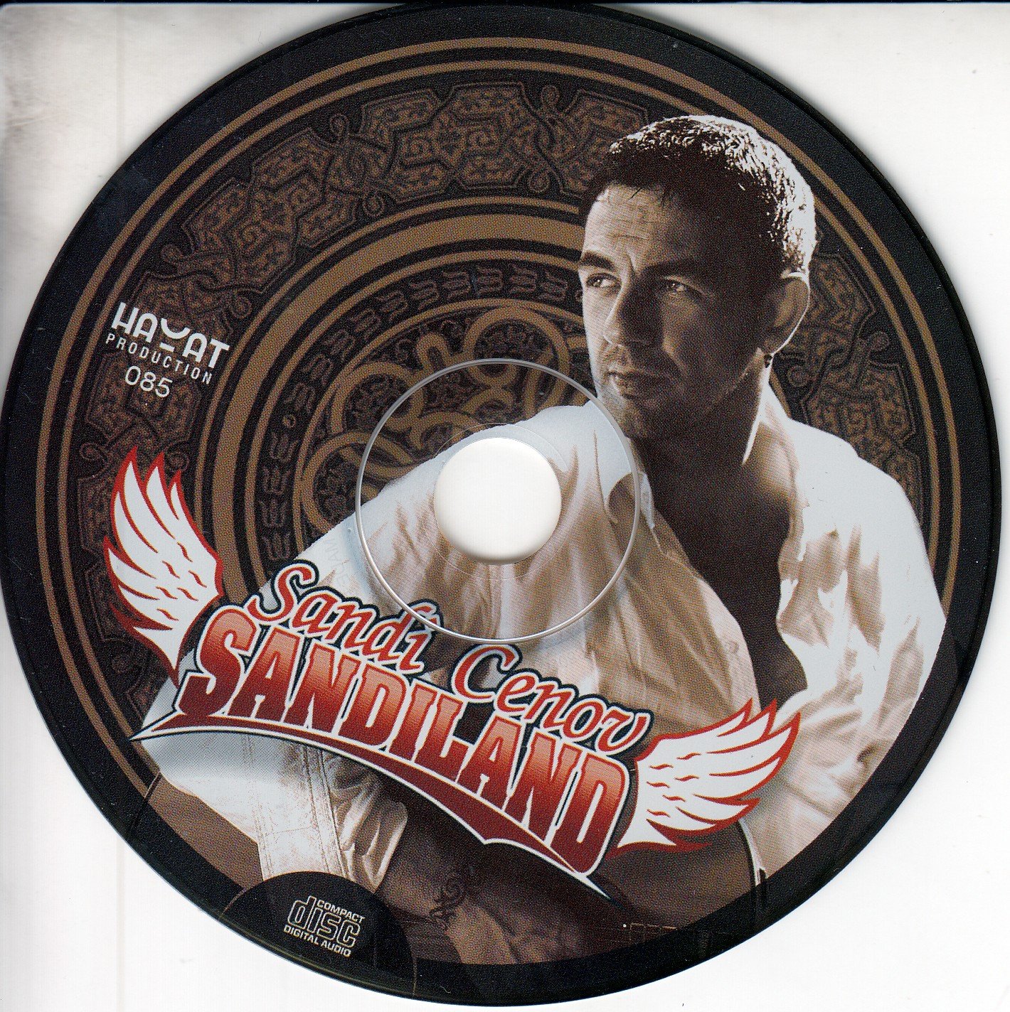 Sandi Cenov – Sandiland (Audio CD) bez plastične kutije (jewel case) - clone
